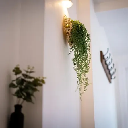 Mulberry דירה ווינדרמר